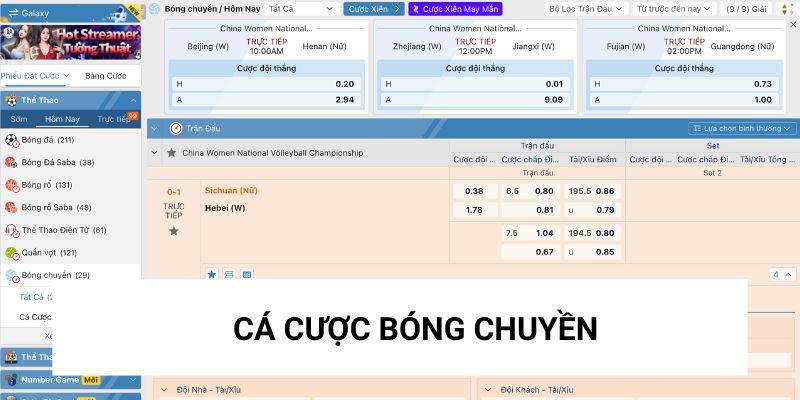 cá cược bóng chuyền Xin88