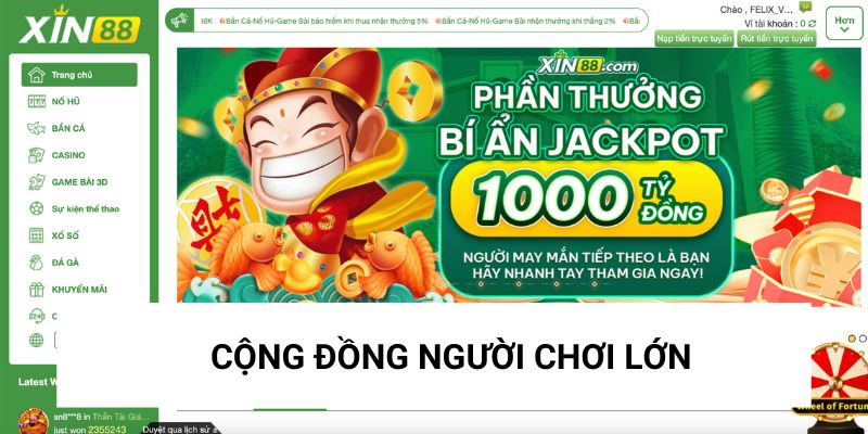 Trang web có cộng đồng cá cược lớn nhất cả nước