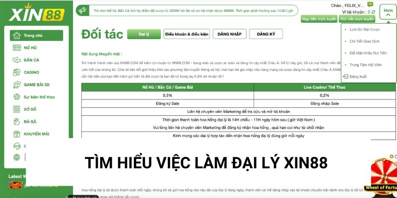 Tìm hiểu về việc làm đại lý của website