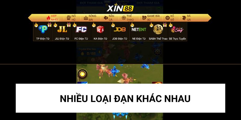 Mỗi loại cá sẽ sử dụng các loại đạn khác nhau 