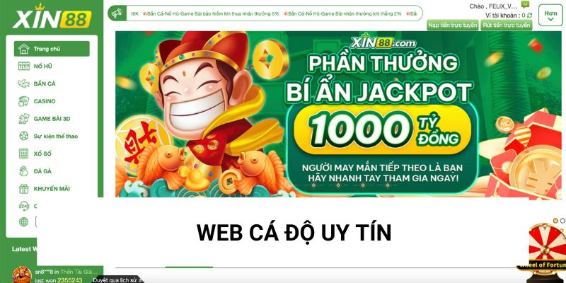 Trang web cá độ uy tín