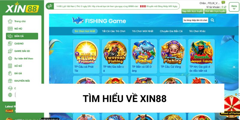 Tìm hiểu về web cá độ uy tín